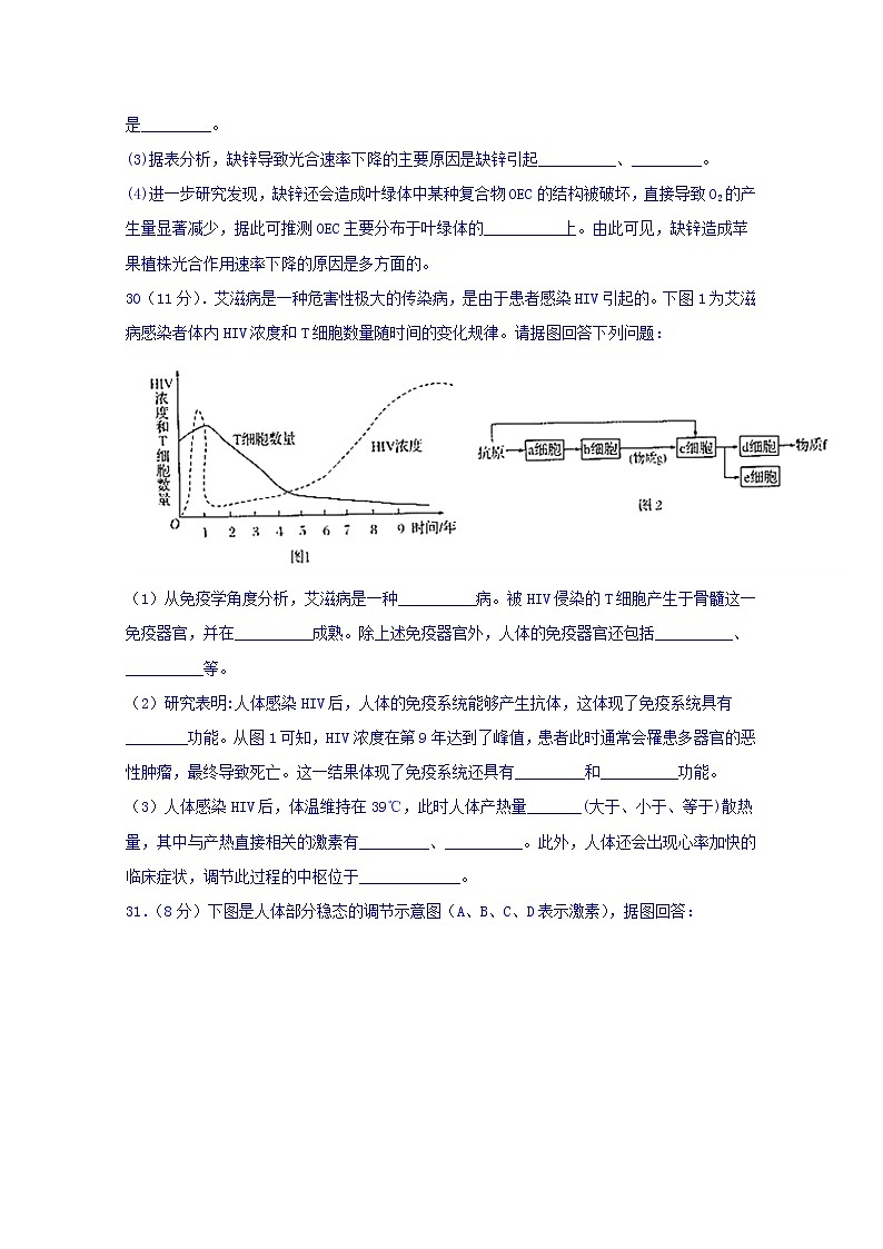 2020泸县五中高三上学期期末考试生物试题含答案第3页