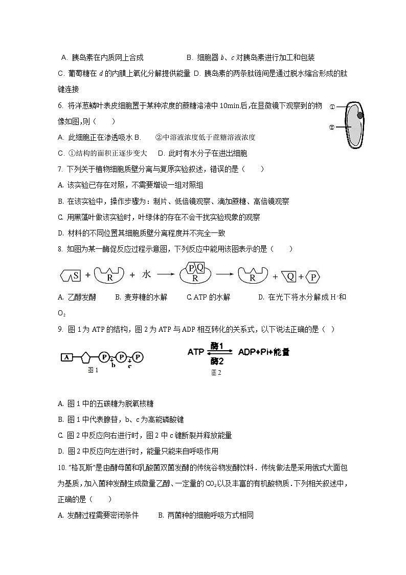 2020平遥县和诚高考补习学校高三上学期第六次周练生物试题含答案第2页