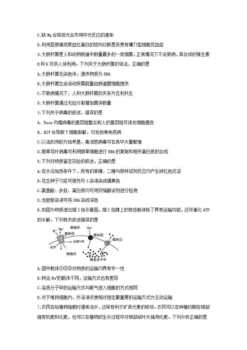 2020益阳高三上学期期末考试（1月）生物含解斩byfeng02