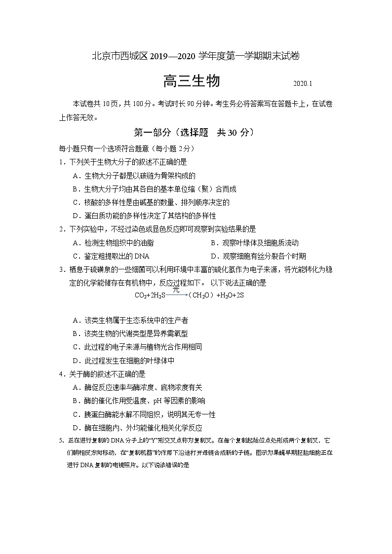 2020北京西城区高三上学期期末考试生物试题含答案01
