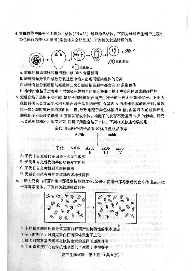2020枣庄高三上学期期末考试生物试题PDF版含答案02