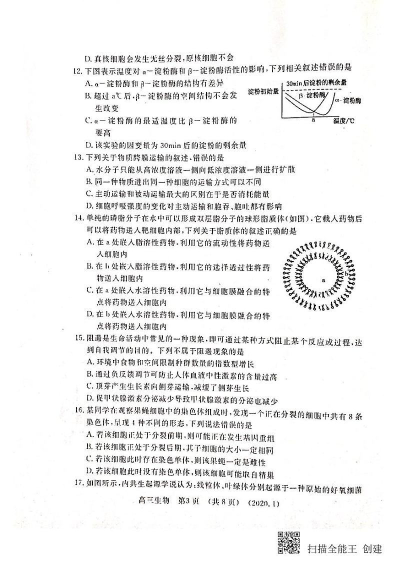 2020洛阳高三上学期第一次统一考试（1月）生物试题PDF版含答案03