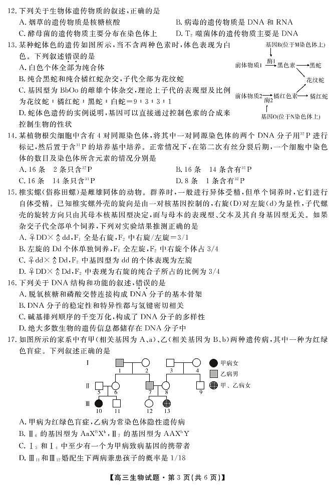 安徽省潜山第二中学2020届高三上学期第三次月考生物试题（PDF版）第3页