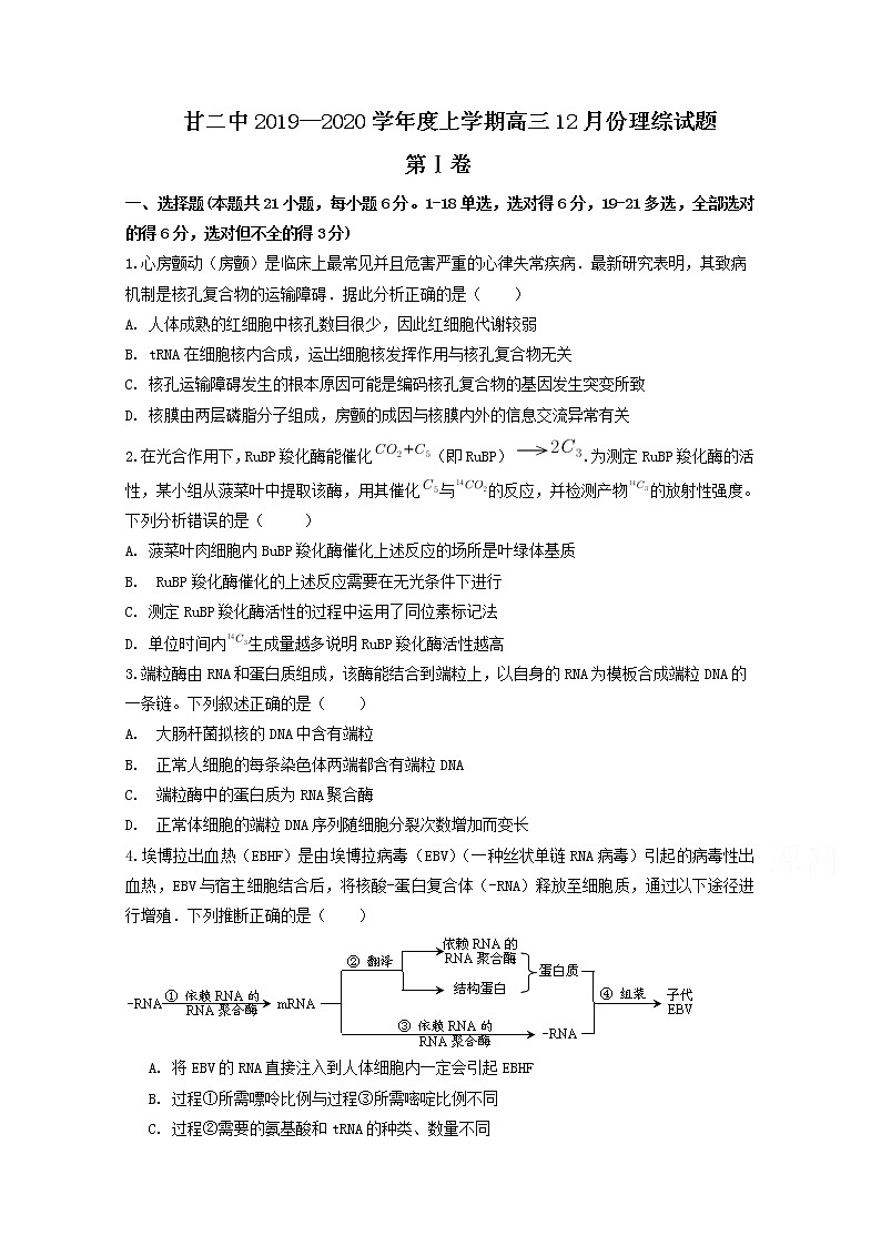 2020通辽科左后旗甘旗卡二中高三12月月考生物试题含答案第1页