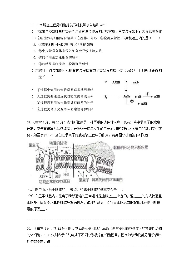 2020通辽科左后旗甘旗卡二中高三12月月考生物试题含答案第2页