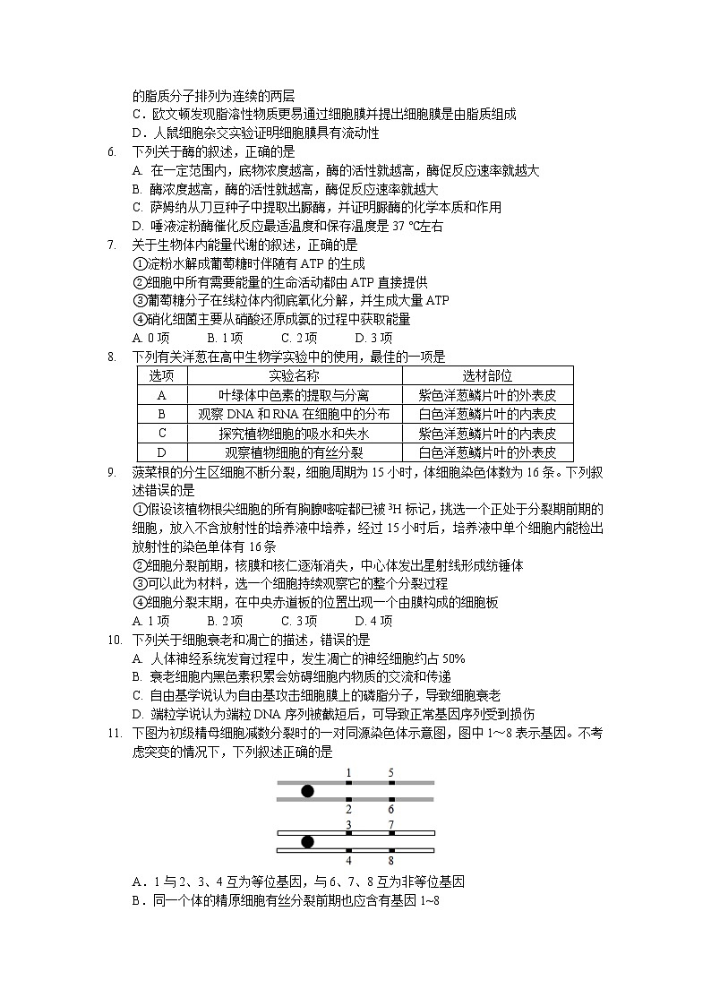 试题卷第2页