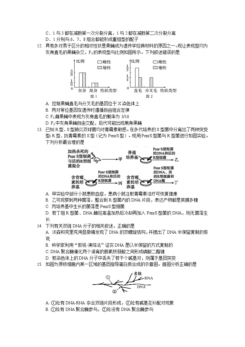 试题卷第3页