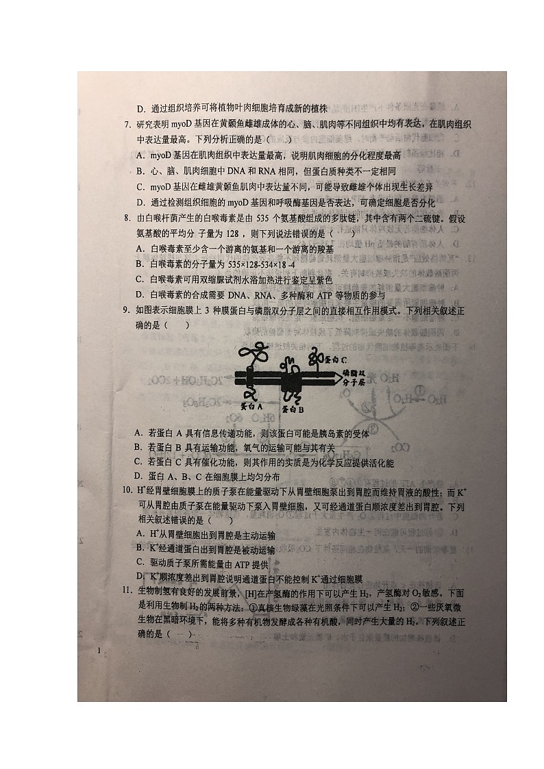 2020六安一中高三上学期周末检测（五）生物试题扫描版含答案02
