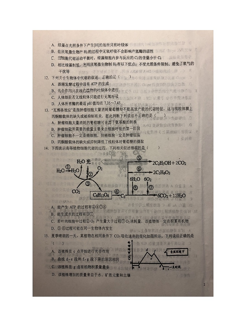 2020六安一中高三上学期周末检测（五）生物试题扫描版含答案03