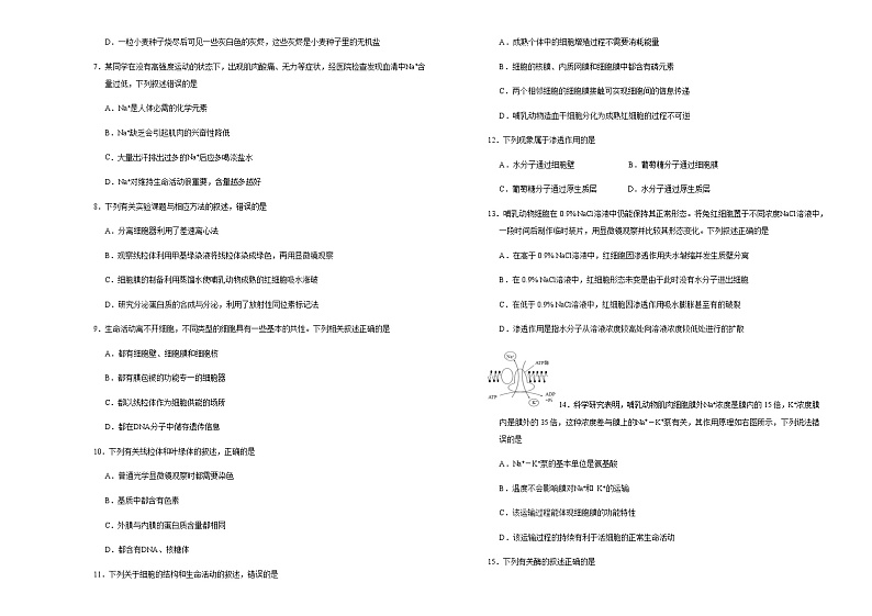 2021松原实验高级中学高二下学期期末备考生物试题含答案02
