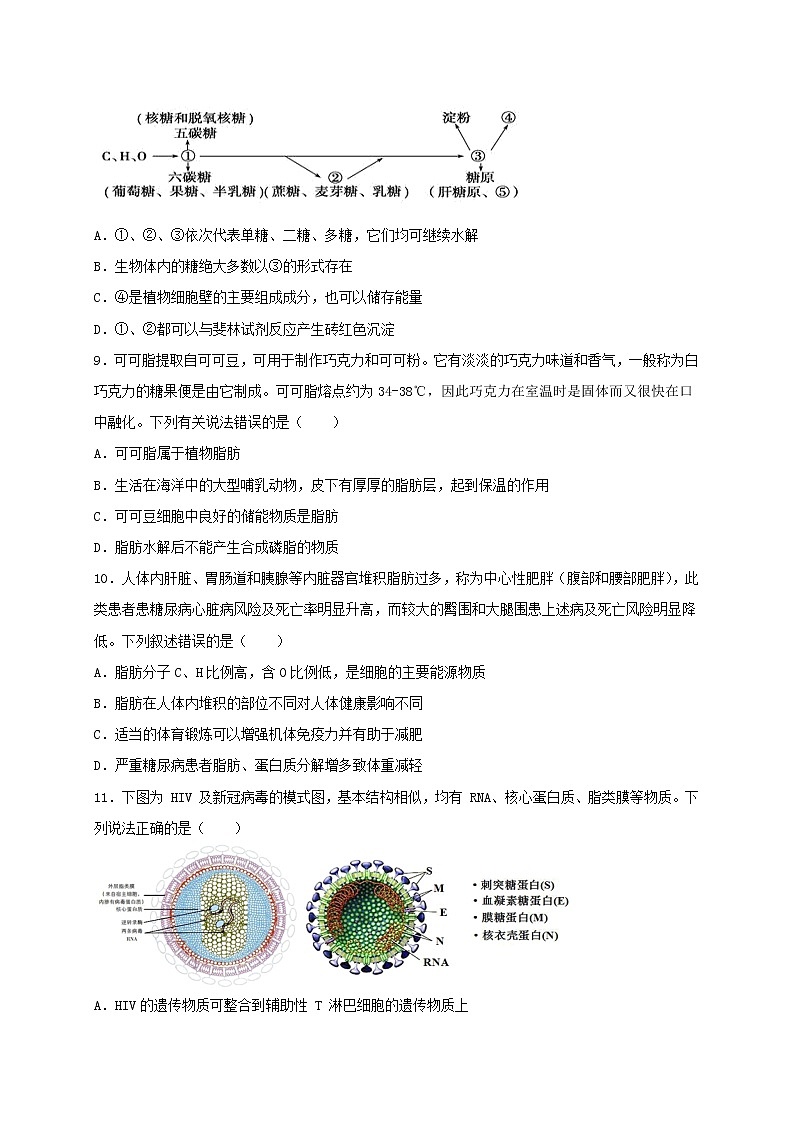 2021省大庆中学高二下学期期中考试生物试题含答案03