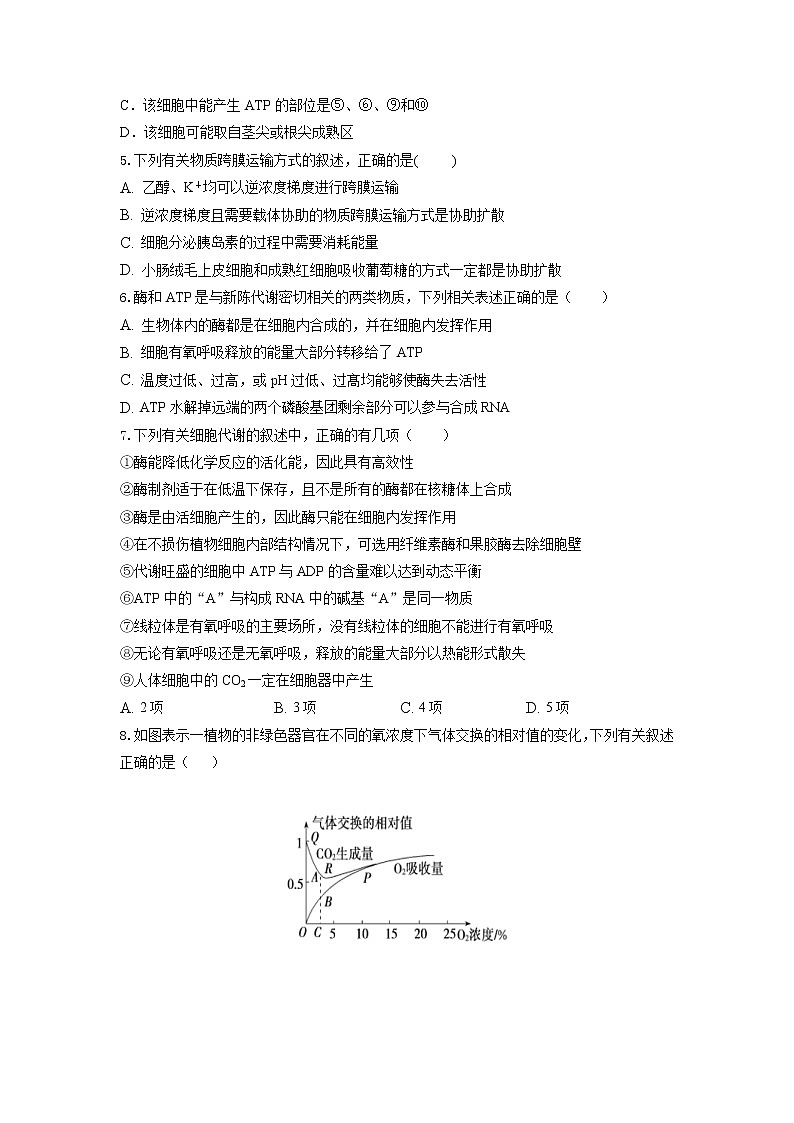 2021沁阳一中高二下学期期末密集练（二）生物试卷含答案第2页