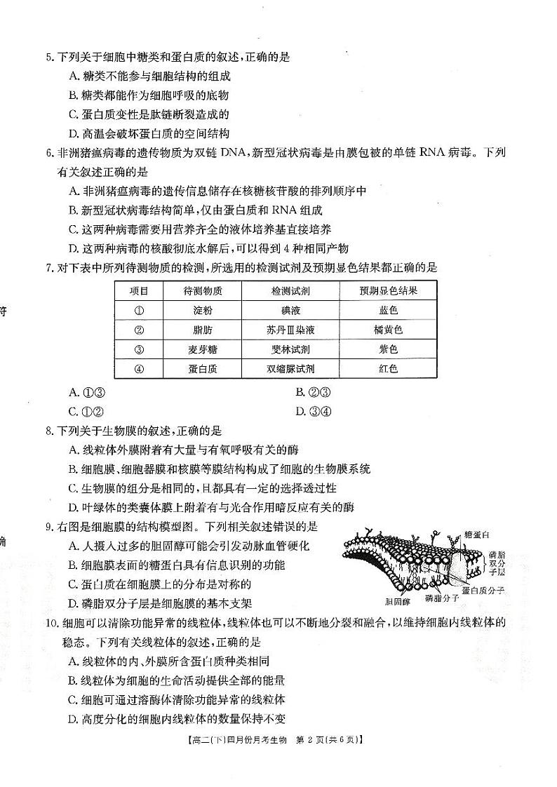 2021河北省大联考高二下学期4月月考生物试题PDF版含答案第2页