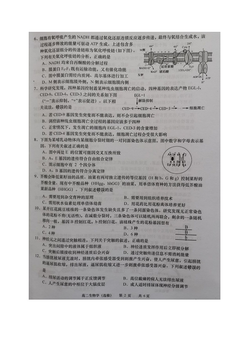 2021如皋高二下学期第三次调研考试生物试题图片版含答案第2页