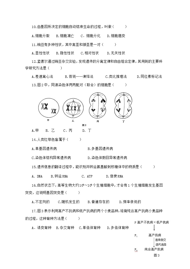 2021莆田锦江中学高二下学期期中考试生物（学考）试题含答案第2页