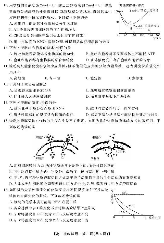 2021合肥艺术中学高二下学期期中考试生物试卷PDF版含答案第3页