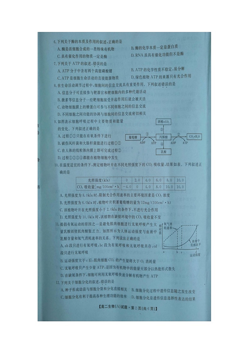 陕西省安康市2020-2021学年高二下学期期中考试生物试题第2页