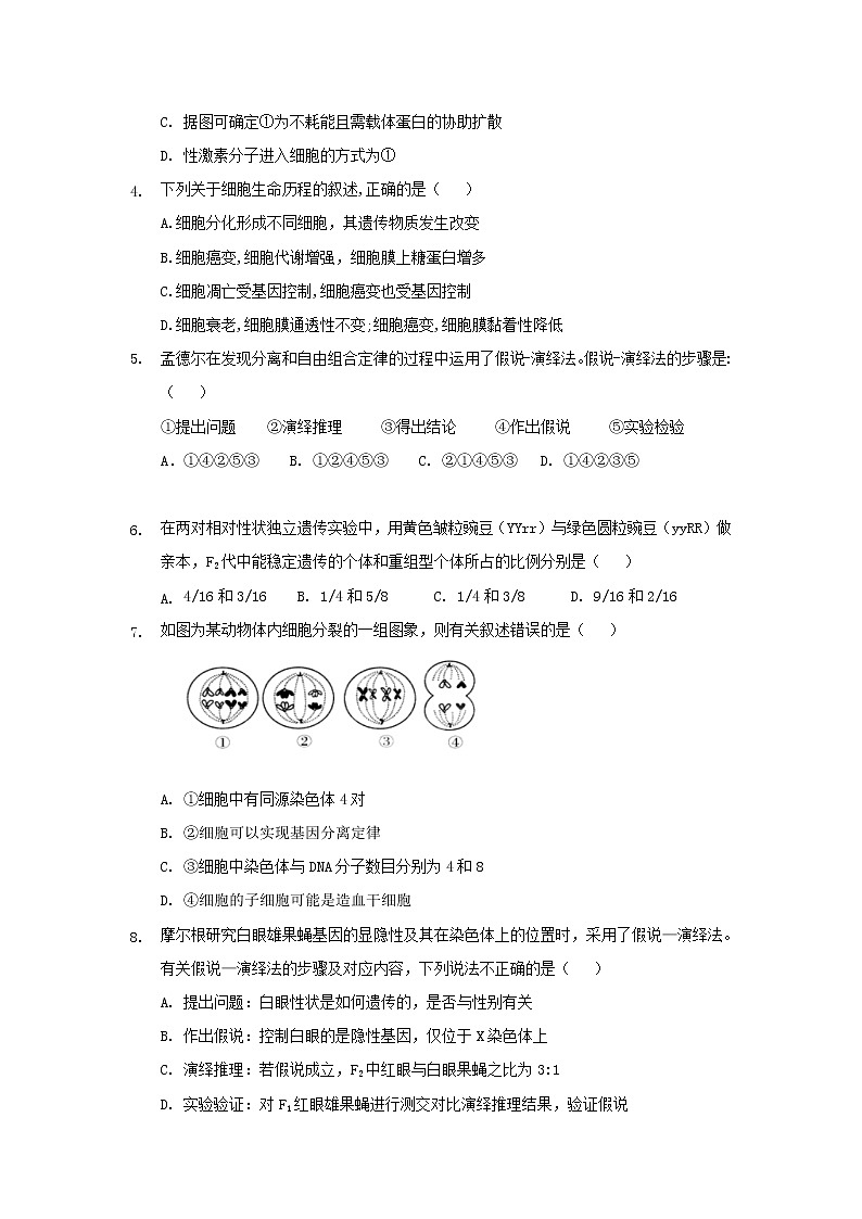 2021水富县云天化中学高二下学期期中考试生物试题含答案第2页