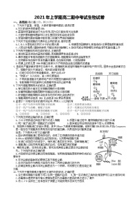 2021娄底娄星区高二下学期期中考试生物试题含答案