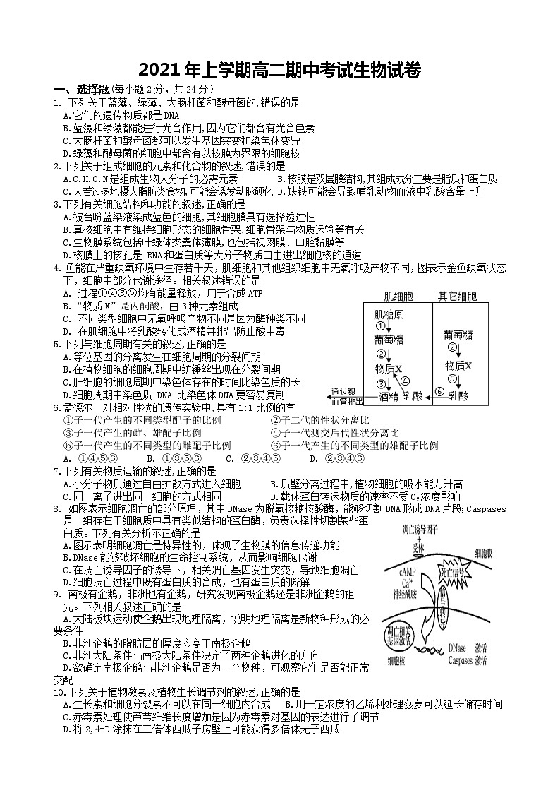 2021娄底娄星区高二下学期期中考试生物试题含答案第1页