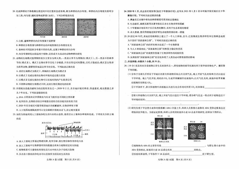 2021合肥六中高二下学期期中考试生物试题PDF版含答案03