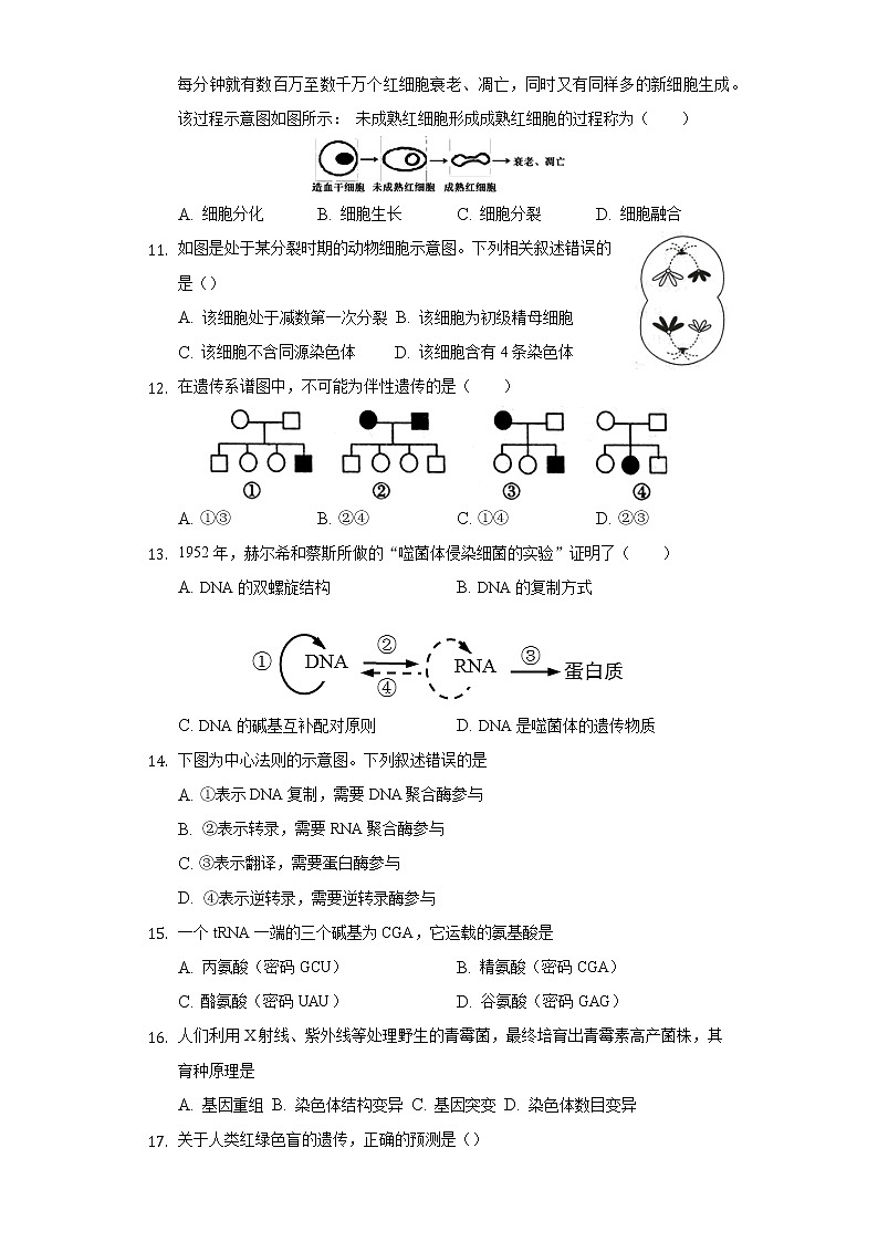 2021合肥长丰县凤麟中学高二下学期期中考试生物（文）试题含答案02