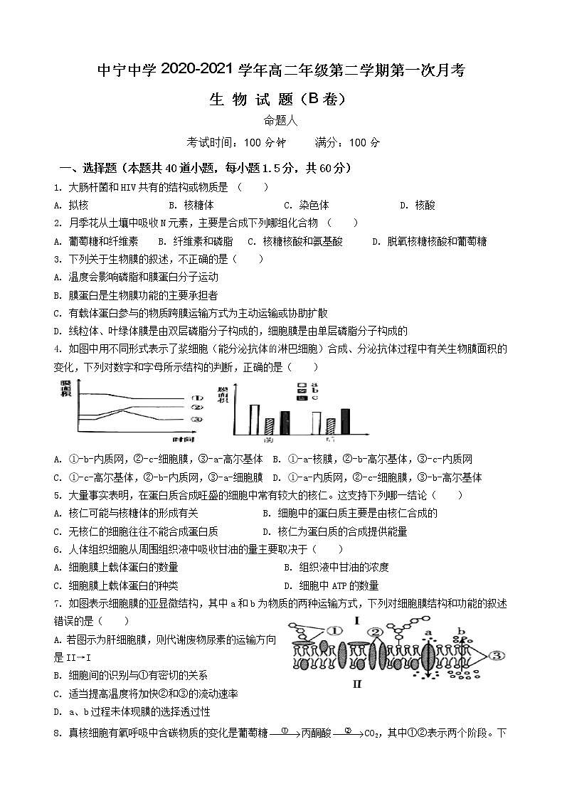 2021中宁县中宁中学高二下学期第一次月考生物试题（B卷）含答案第1页
