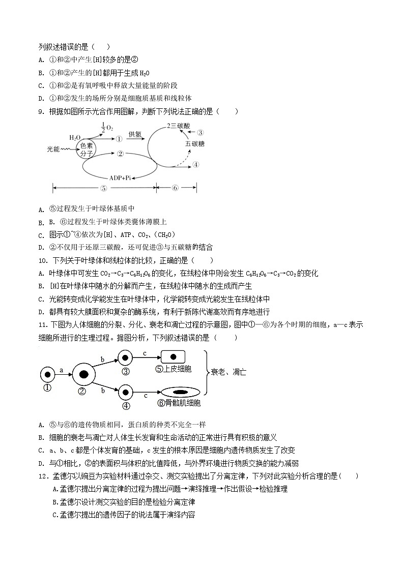 2021中宁县中宁中学高二下学期第一次月考生物试题（B卷）含答案第2页