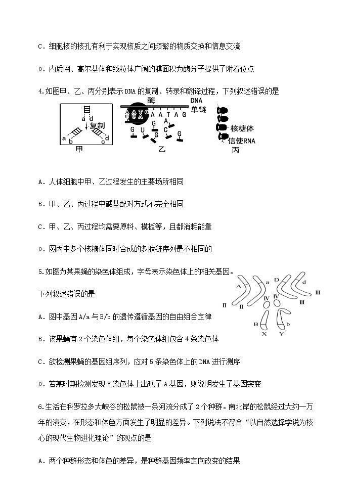 2021汕头达濠华侨中学高二上学期期末考试生物试题含答案02