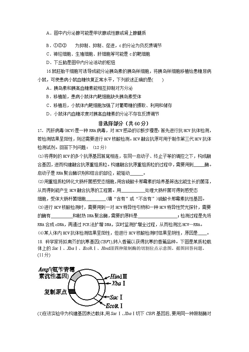 2021湛江二十中高二下学期第一阶段考试生物试卷含答案第3页