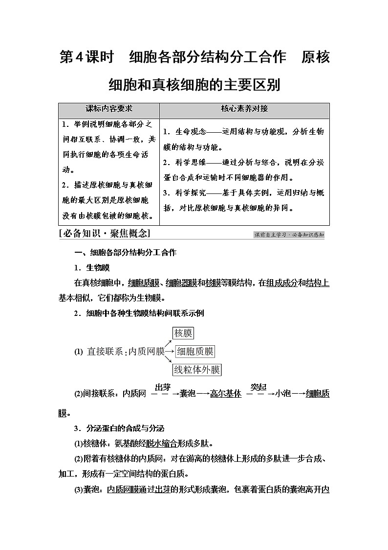 苏教版高中生物必修1第2章第2节第4课时细胞各部分结构分工合作原核细胞和真核细胞的主要区别学案01