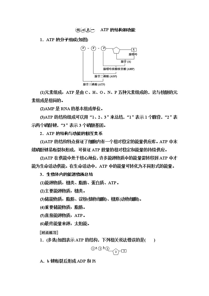 苏教版高中生物必修1第3章第1节第2课时ATP是驱动细胞生命活动的直接能源物质学案第3页