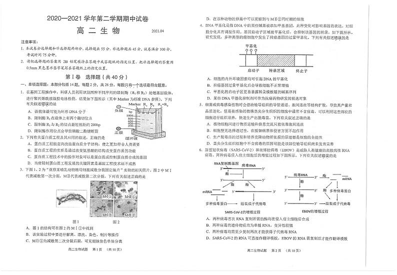 2021常熟高二下学期期中考试生物试题扫描版含答案第1页