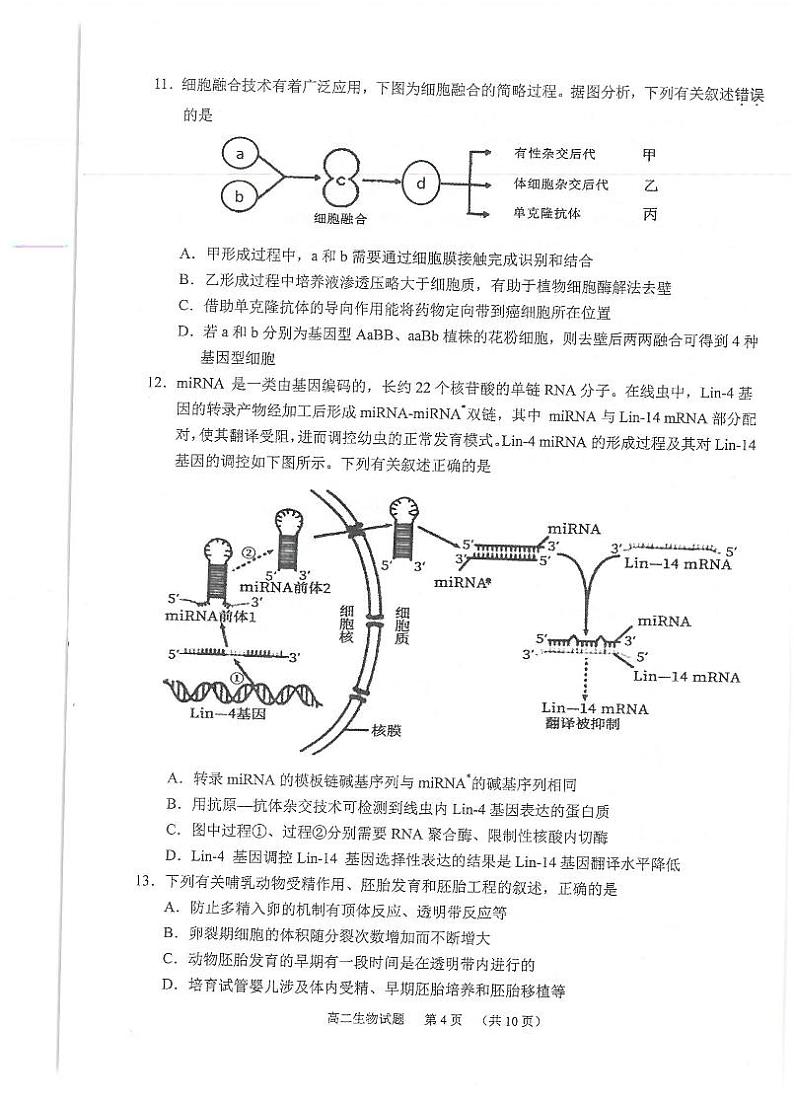 2021常熟高二下学期期中考试生物试题扫描版含答案第3页