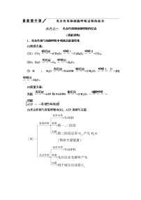 生物苏教版 (2019)第四节 影响光合作用和细胞呼吸的环境因素导学案