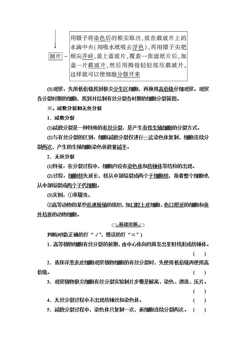 苏教版高中生物必修1第4章第1节第2课时观察植物根尖细胞有丝分裂减数分裂和无丝分裂学案03