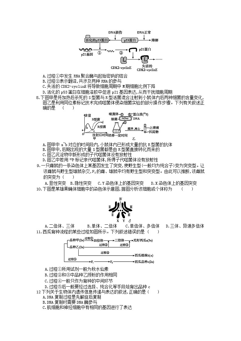 2021杭州长征中学高二下学期阶段性练习生物试卷含答案第2页