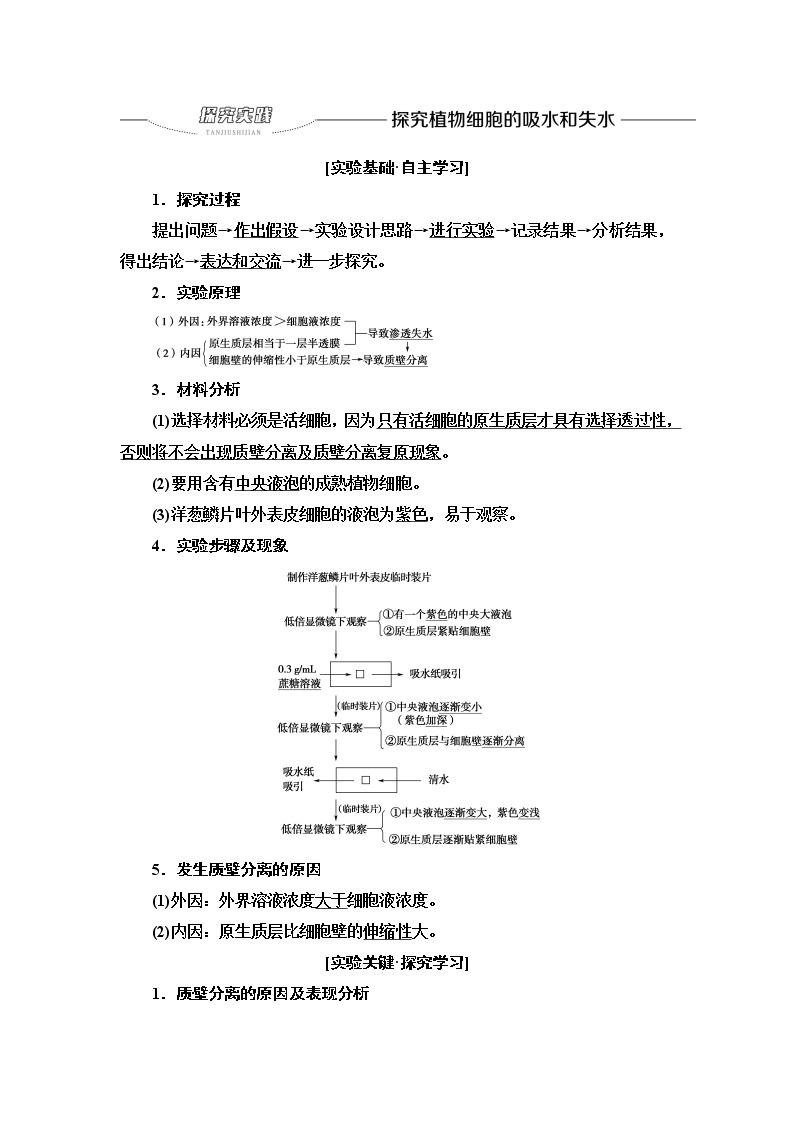 人教版高中生物必修1第4章探究实践探究植物细胞的吸水和失水学案01