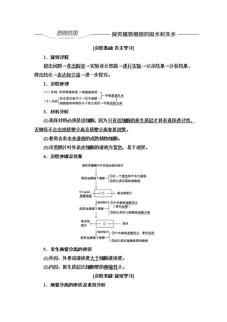 人教版高中生物必修1第4章探究实践探究植物细胞的吸水和失水学案01