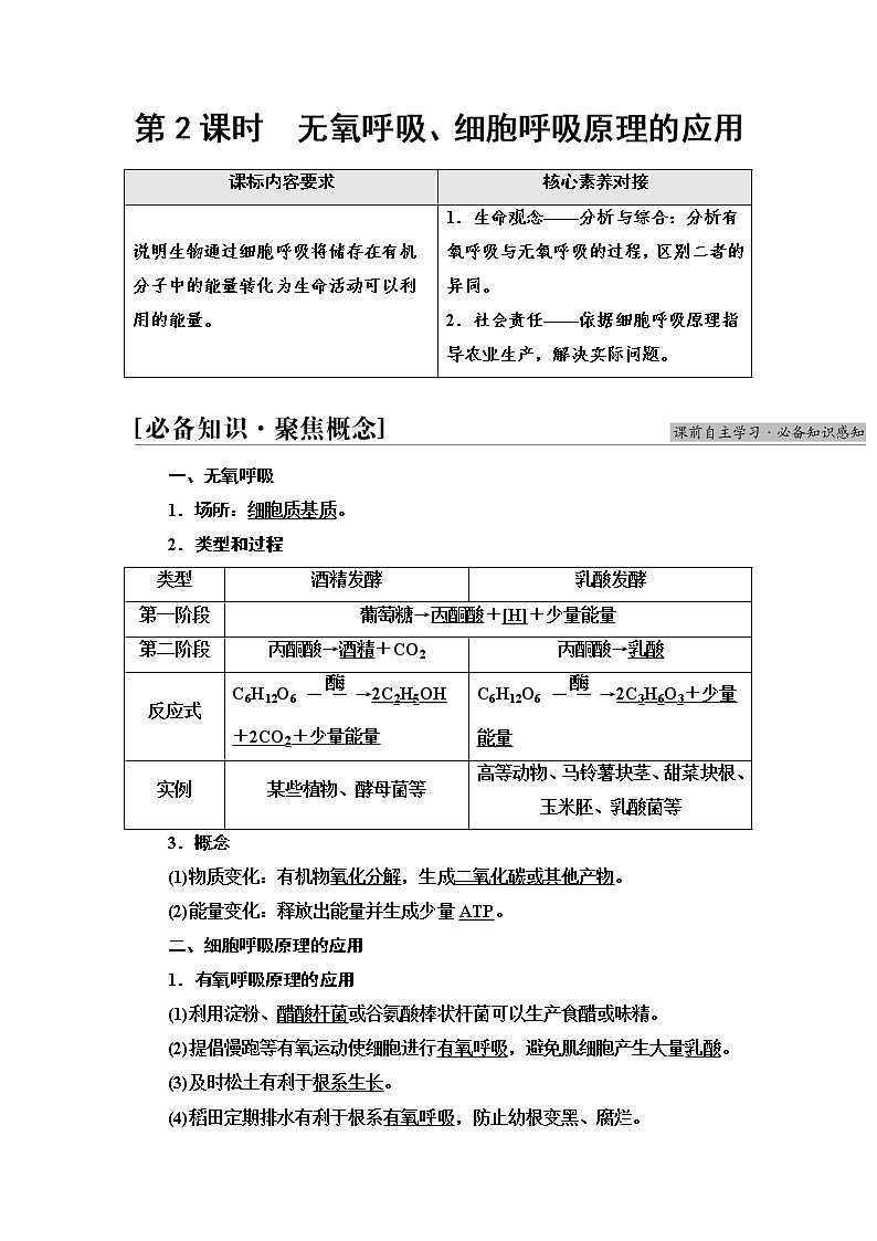 人教版高中生物必修1第5章第3节第2课时无氧呼吸、细胞呼吸原理的应用学案01