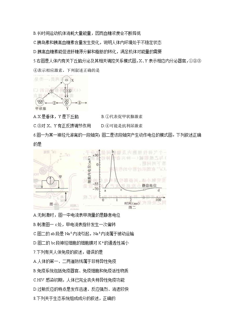 2021开封高二上学期五县联考期末生物含答案 试卷02