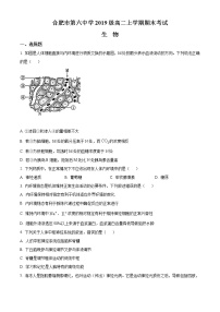 2021合肥六中高二上学期期末考试生物试题含答案