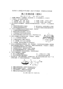 2021宿州十三所省重点中学高二上学期期末考试生物试题扫描版含答案