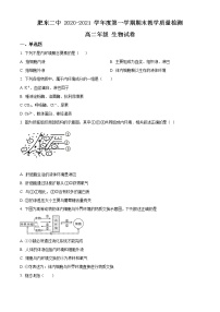 2021肥东县二中高二上学期期末考试生物试题含答案