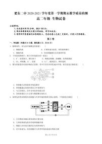 2021肥东县二中高二上学期期末考试生物试题PDF版含答案