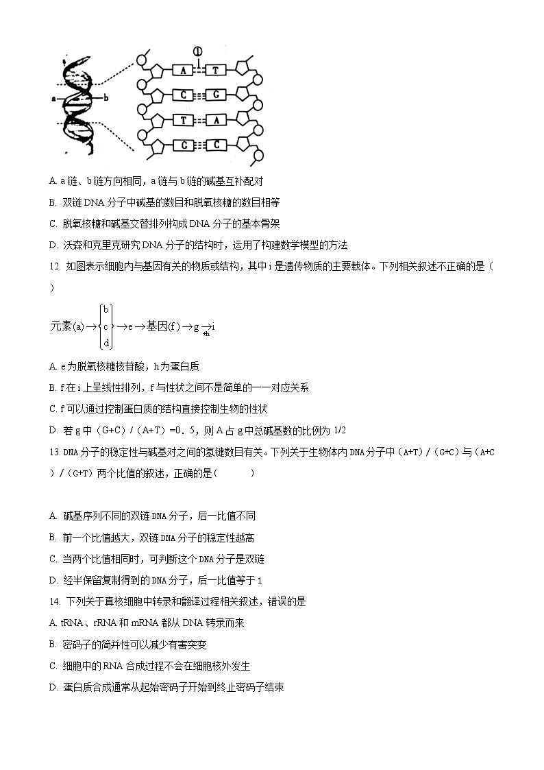 2021钦州高二上学期期末生物试题含答案03