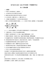 2021驻马店高二上学期期终考试生物试题含答案