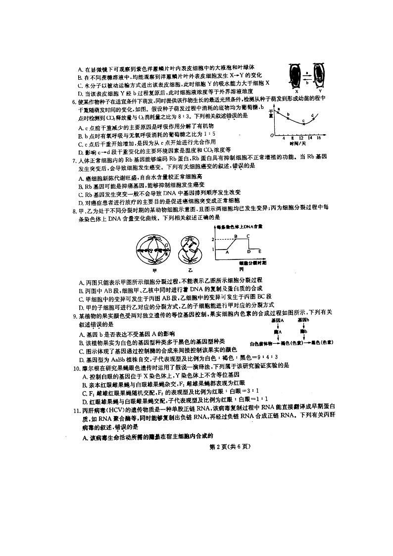2021池州东至二中高二下学期开年考生物试题扫描版含答案02