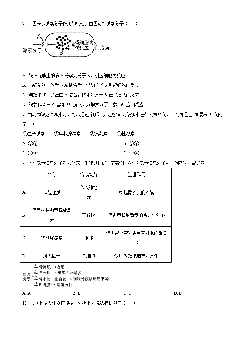 2021乐山高二上学期期末考试生物试题含答案第3页