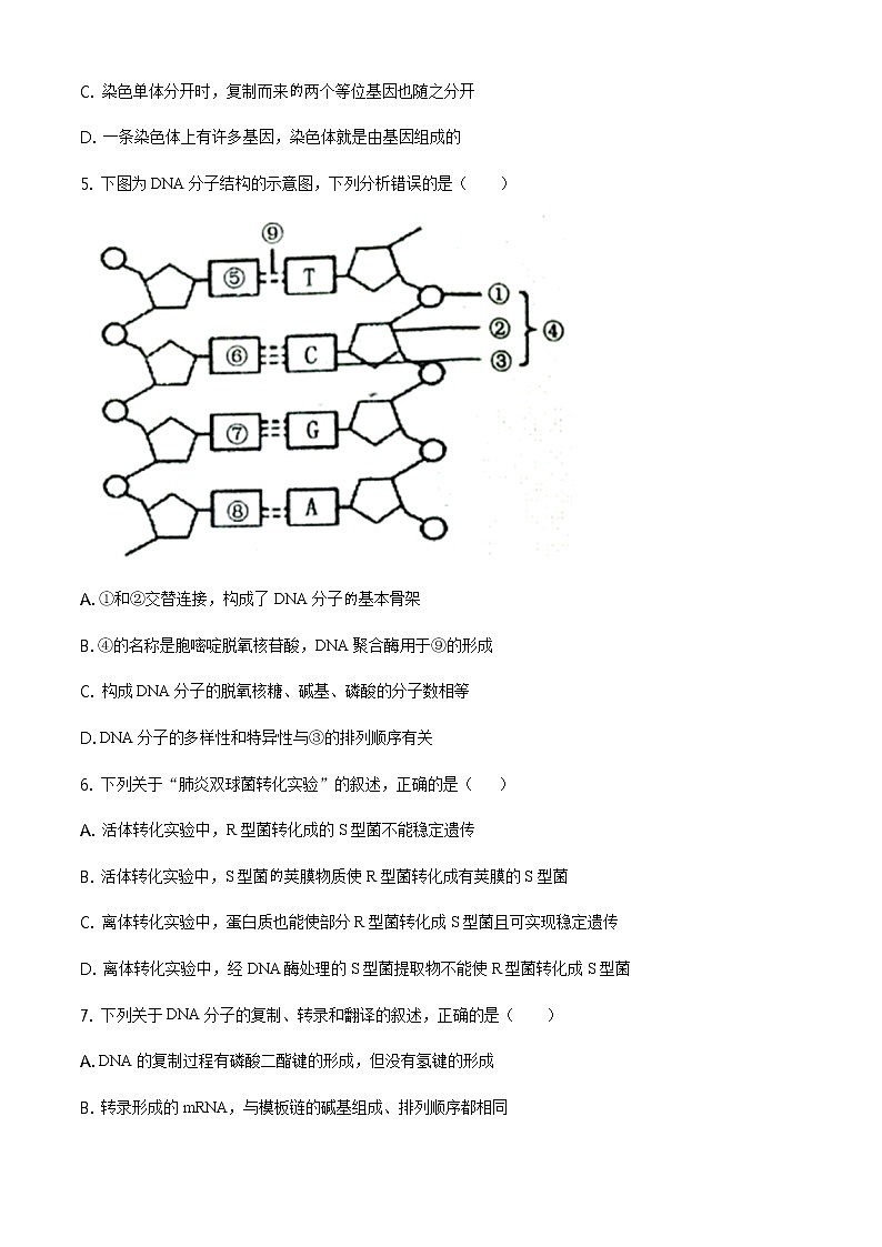 2021洛阳高二上学期期末考试生物试题含答案02